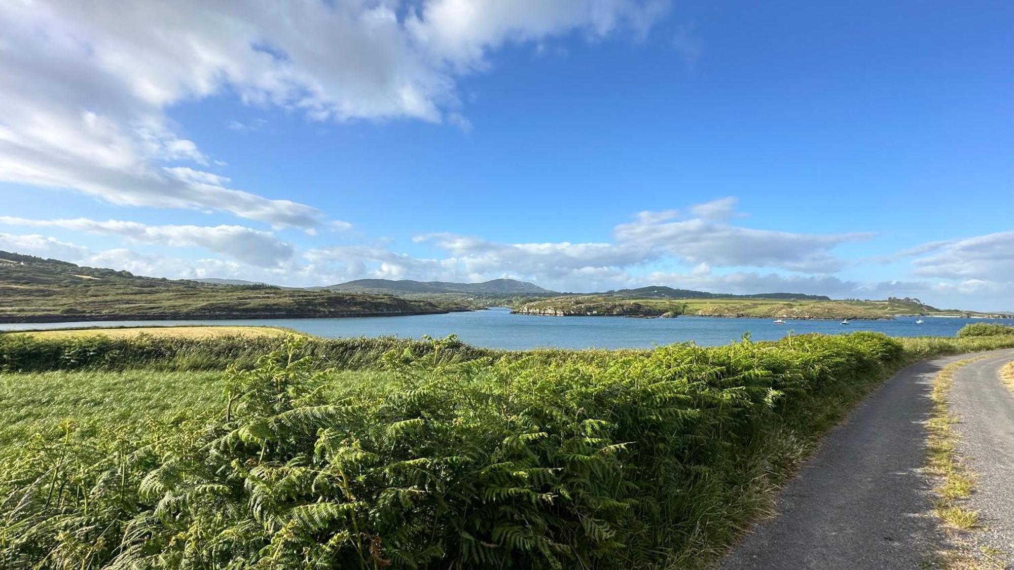 فيلا Seafront House With Own Private Pier In Gunpoint, Schull, West Cork Seafort المظهر الخارجي الصورة